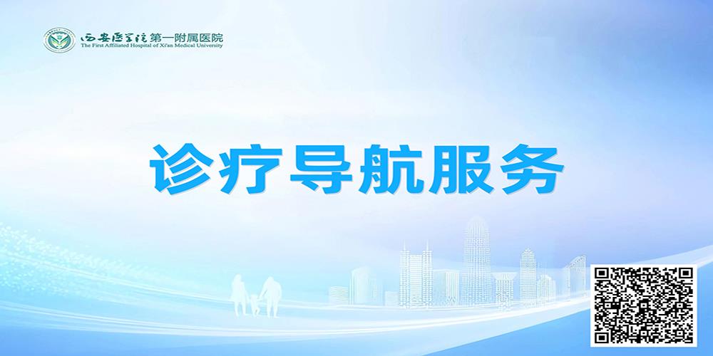 诊疗导航服务.jpg